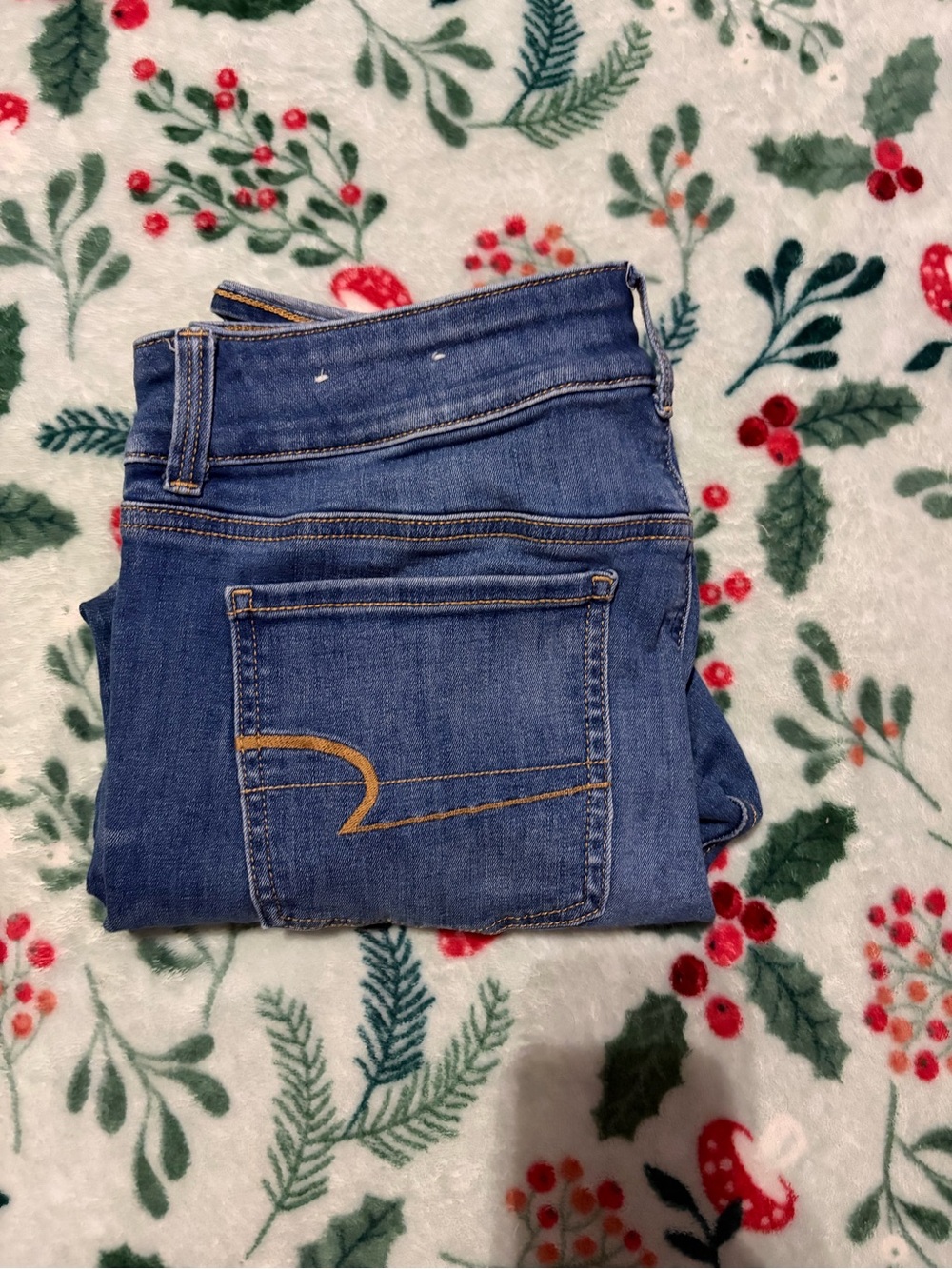 American Eagle Outfitters Blue Skinny Jeans